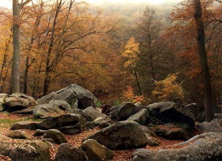Automne
