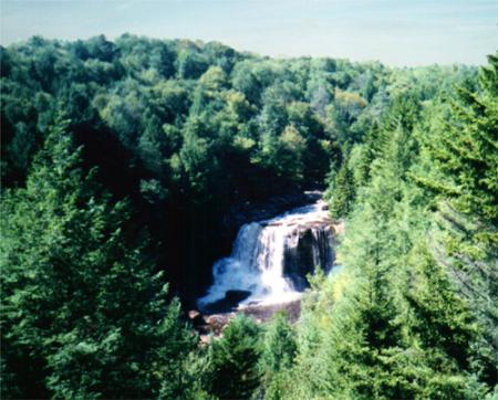 Amazonie